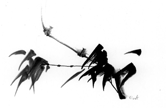 BAMBOO3