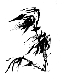 BAMBOO4