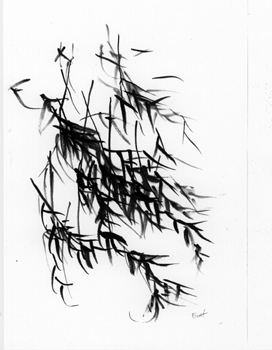 BAMBOO WIND